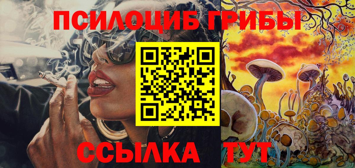 купить наркотик  Галлюциногенные грибы мицелий  Вход с VPN  Ачхой-Мартан 