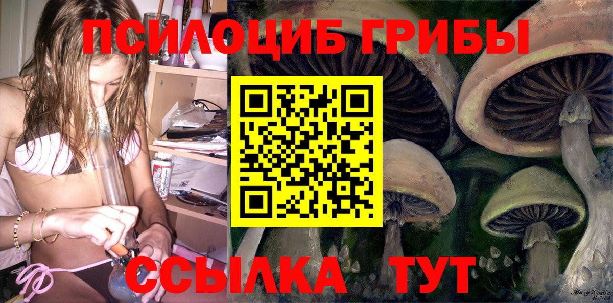 Псилоцибиновые грибы ЛСД Ачхой-Мартан