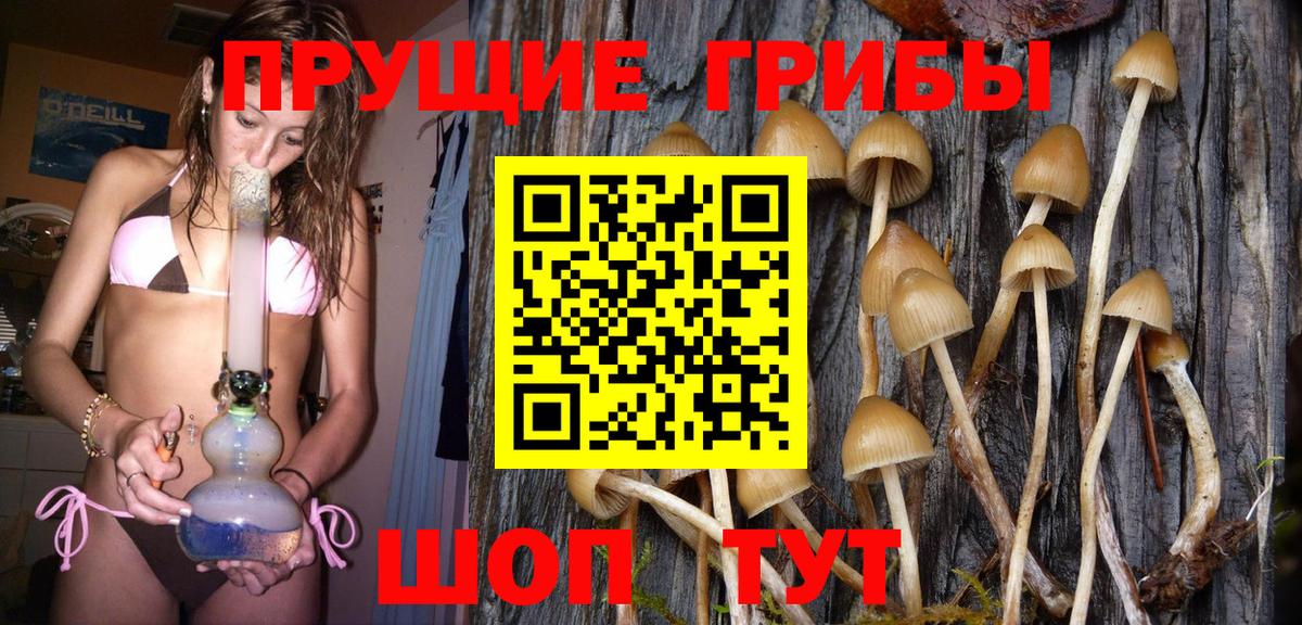 Галлюциногенные грибы MAGIC MUSHROOMS Ачхой-Мартан