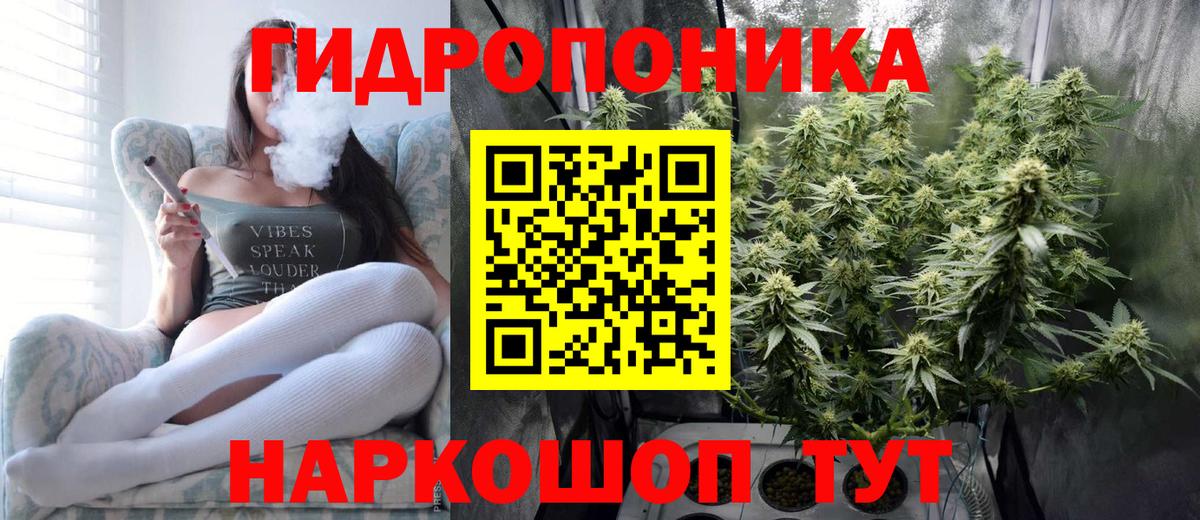 Шишки марихуана VHQ Ачхой-Мартан